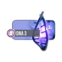 DNA3 Wh-SQ